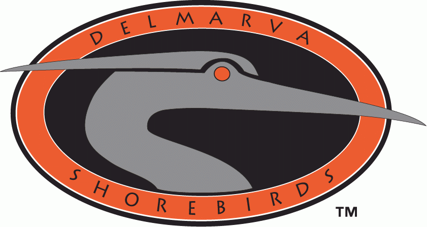 Delmarva Shorebirds 1996-2009 Primary Logo iron on paper